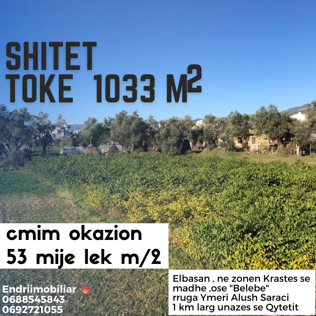 SHITET TOKE , ne Belebe Kraste