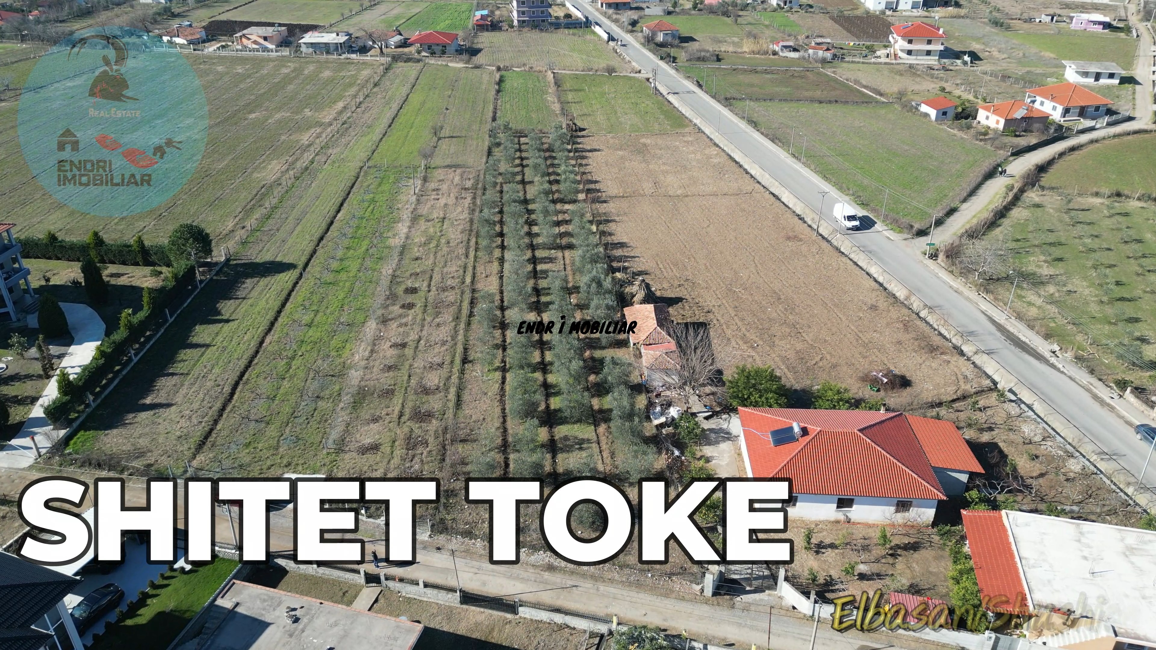 SHITET TOKE NE qender te fshatit Shushice