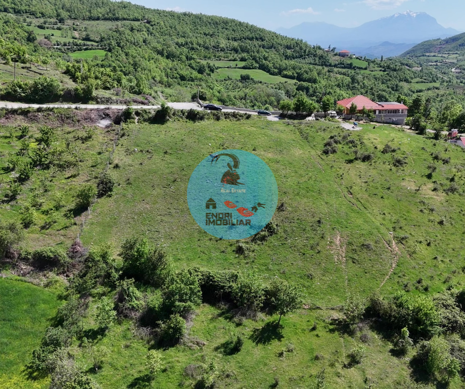 Shitet Toke me pamje fantastike