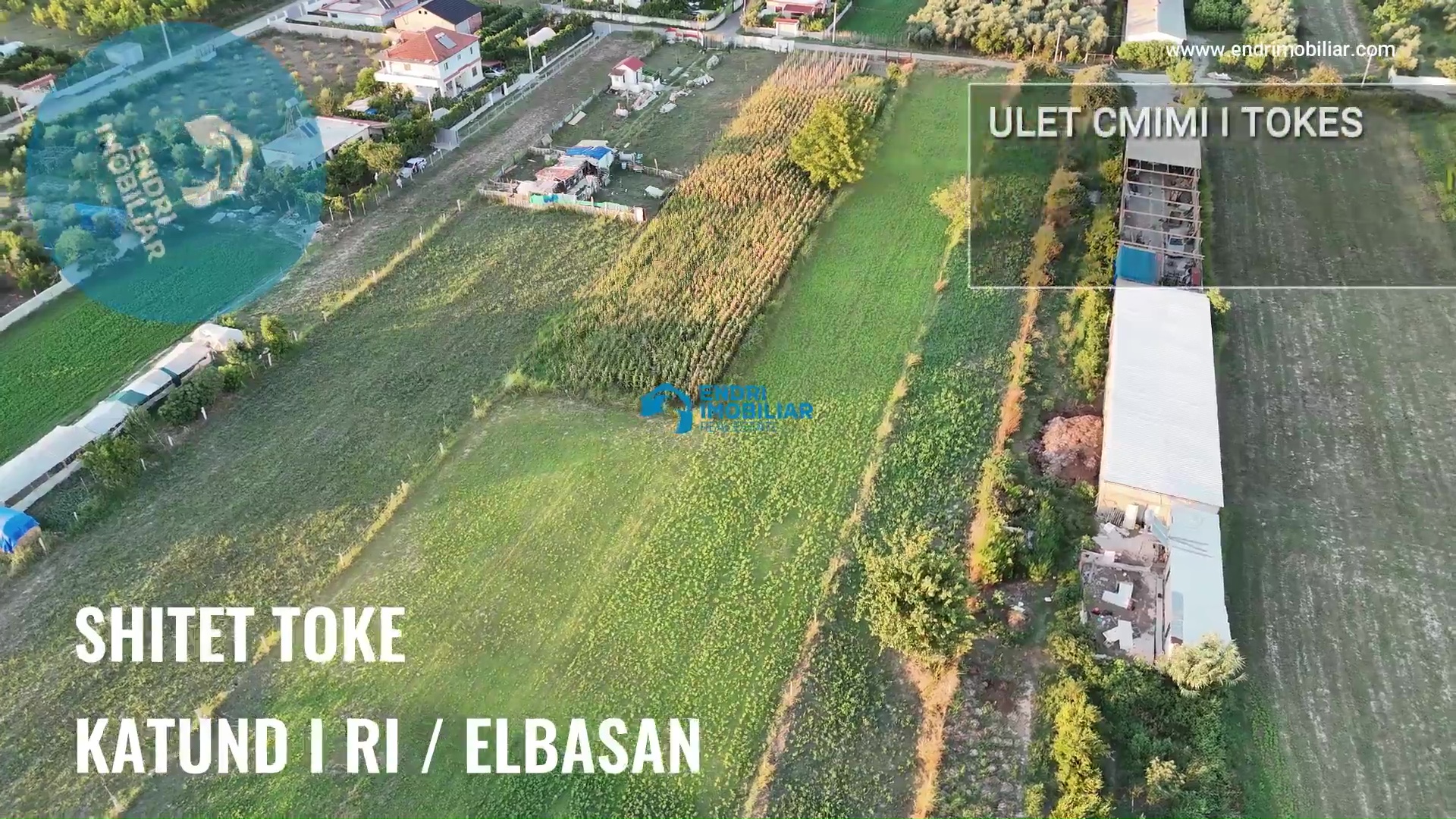 Shitet Truall per Biznes