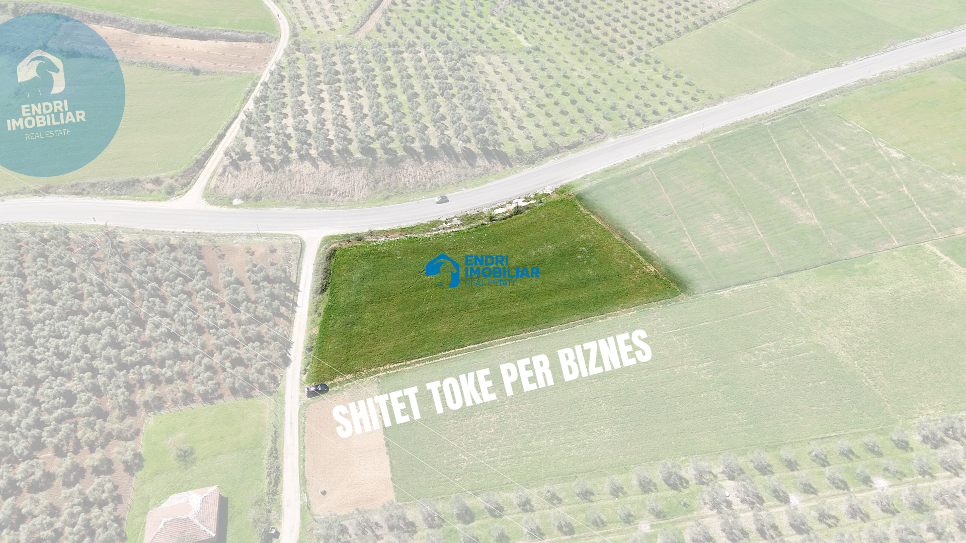 Shitet Toke per biznes